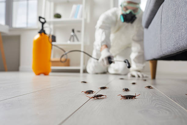 Commercial Rodent Management in Millington